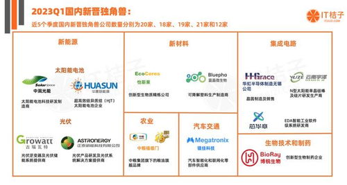 2023第一季度国内贸易代理独角兽崛起 资本力量与行业新秀