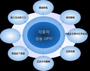 深耕陇原，链接全球 韩国原装进口汽车节油器甘肃总代理与国内贸易代理的融合发展之道
